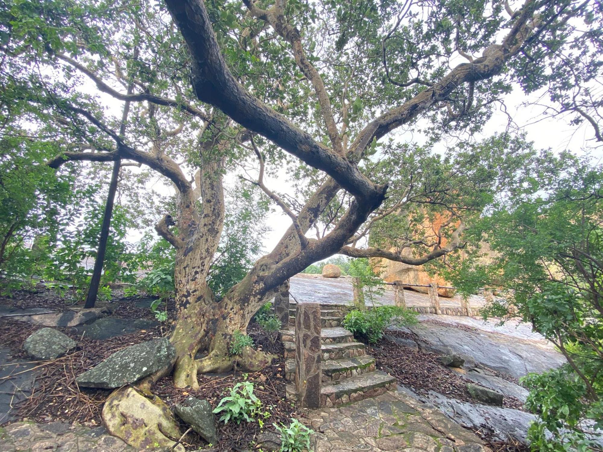 Big Cave Camp Villa Matopos ภายนอก รูปภาพ
